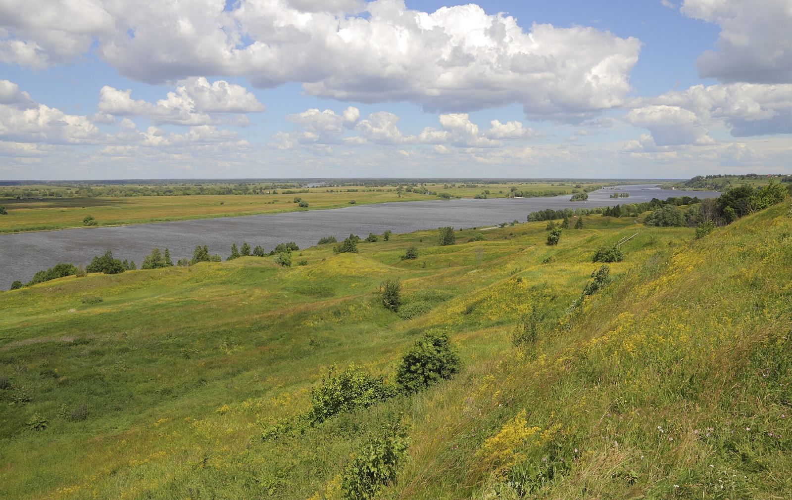 Поле и река — загородная земля